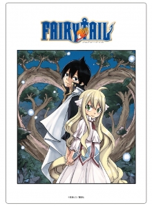 FAIRYTAIL　原作イラストアクリルパネル24