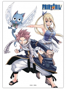 FAIRYTAIL　原作イラストアクリルパネル29